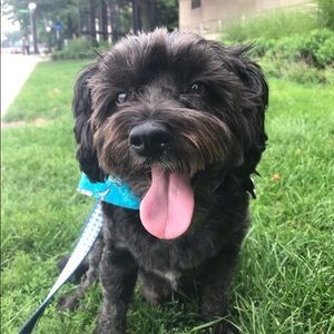 Meet your Posher, Kami